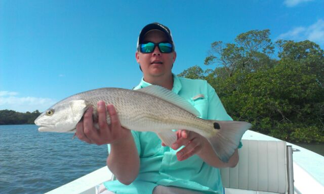 Matt with another healthy redfish caught and released with Capt. Ben Geroy last week! 