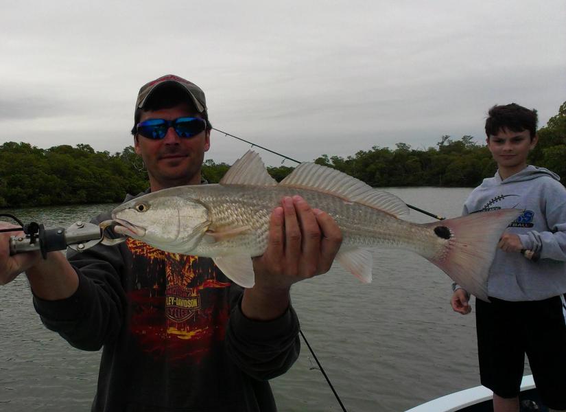 A nice redfish comes aboard while fishing with Capt. Ben Geroy on 1/1/2013