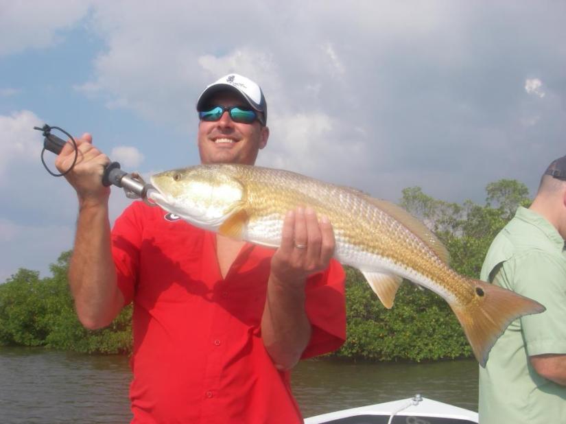 Shrimp tipped jigs are taking some very nice redfish right now