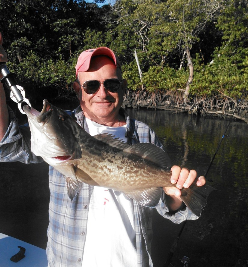 Mike D. with a slot sized gag grouper caught in heavy mangrove cover last week.