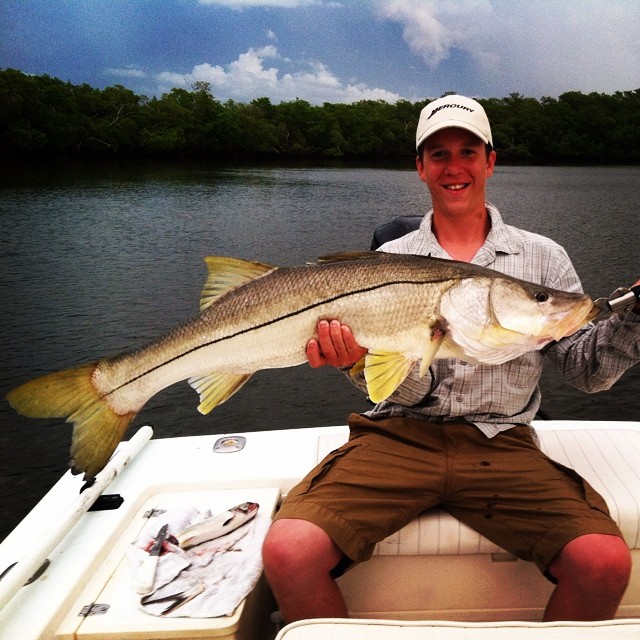 20 lb. snook released with Capt. Ben Geroy 7/15/14