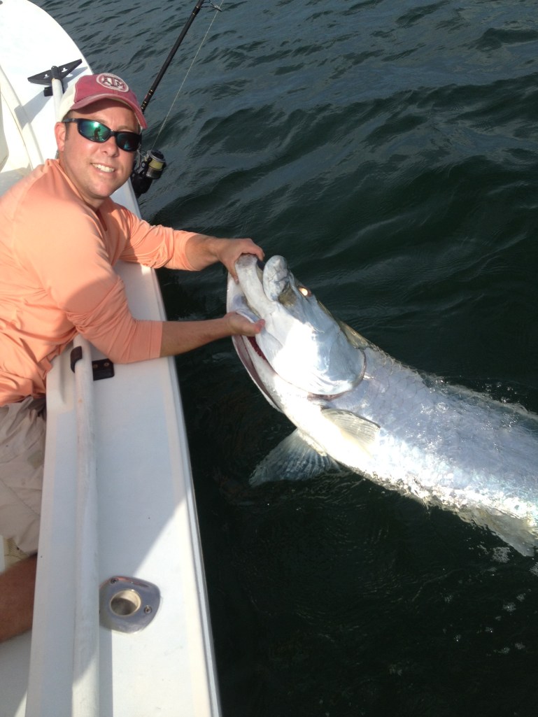 Releasing this 130 lb. tarpon was the first leg of Justin Harper's grand slam catch last week! 