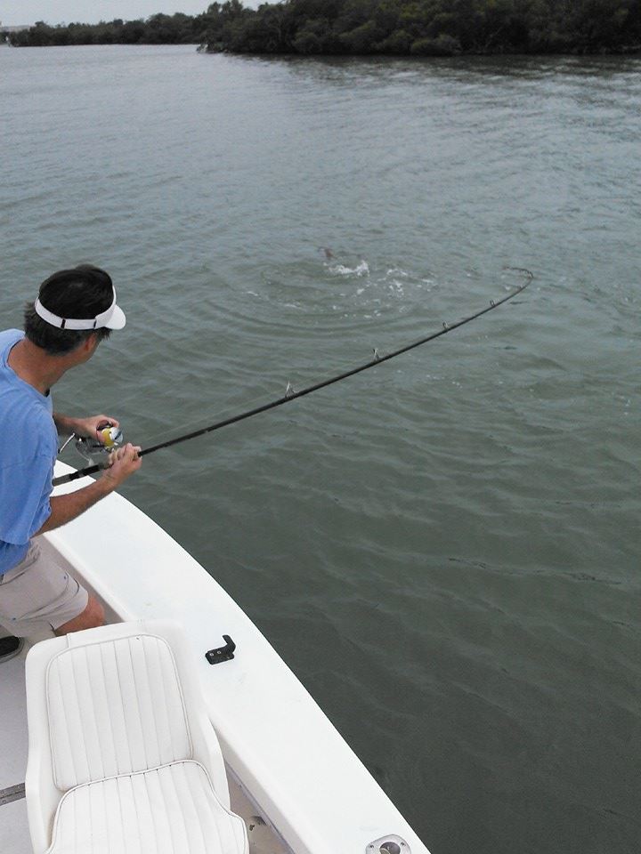 Steve J. puts the finishing touches on a big tarpon released Friday afternoon, 4/17