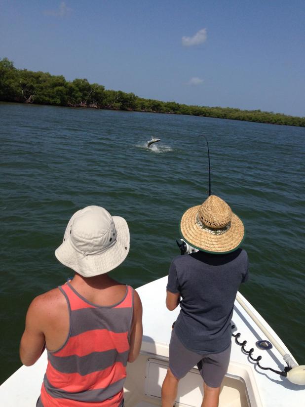 A big tarpon takes to the air for Capt. Ben Geroy's anglers on a recent trip!