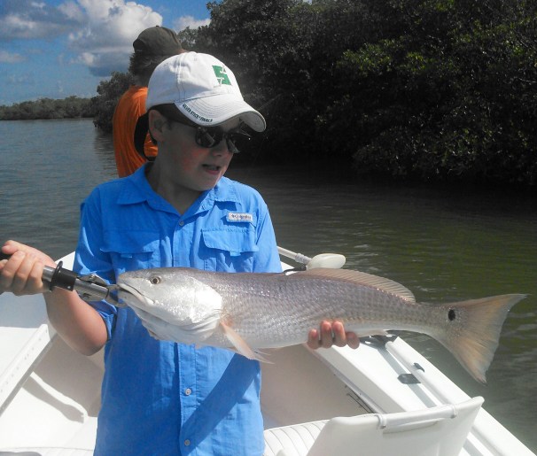 Charlie Crumbp with a nice redfish released on a recent outing with Capt. Todd Geroy.