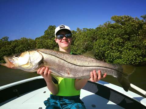 FB_IMG_1459472800512(1)