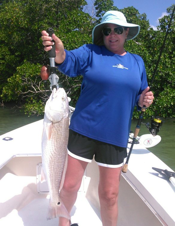 Naples  Marco Island Fishing Report | Light Tackle and Fly Fishing for  Snook, Tarpon, Redfish and Giant Inshore Sharks on the Backwaters of  Naples, Florida