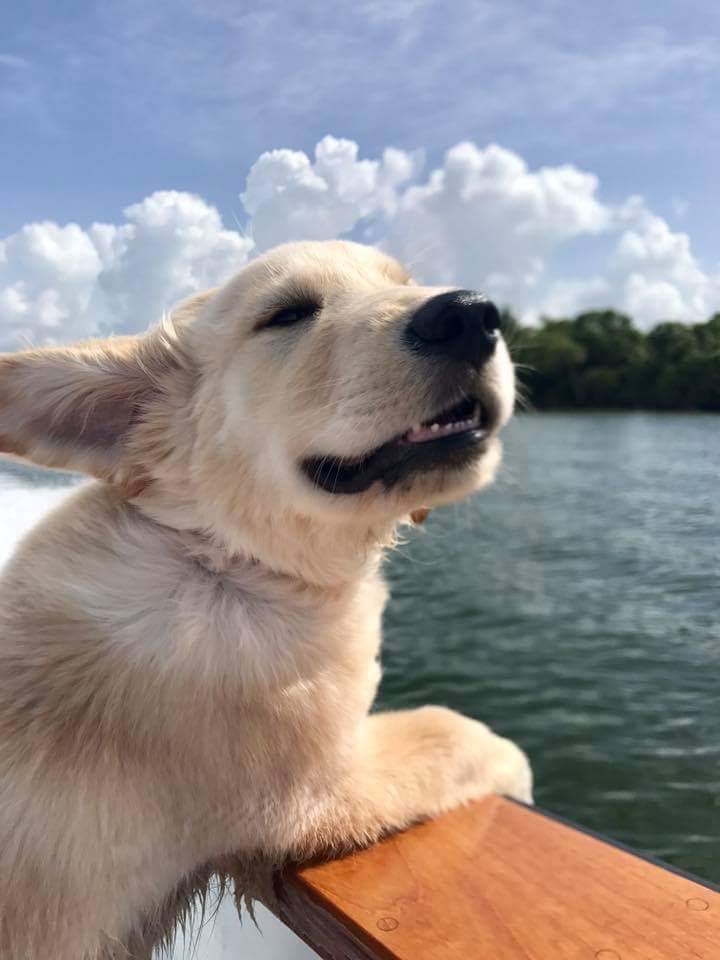 FB_IMG_1500847401963