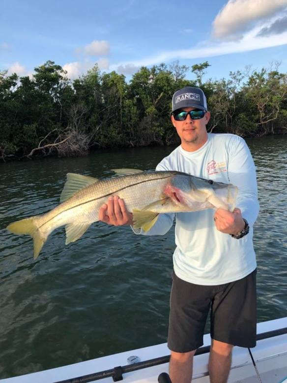 Naples  Marco Island Fishing Report | Light Tackle and Fly Fishing for  Snook, Tarpon, Redfish and Giant Inshore Sharks on the Backwaters of  Naples, Florida